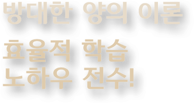 방대한 양의 이론 효율적 학습 노하우 전수!